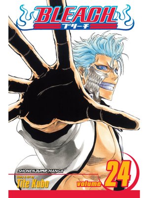 cover image of Bleach, Volume 24